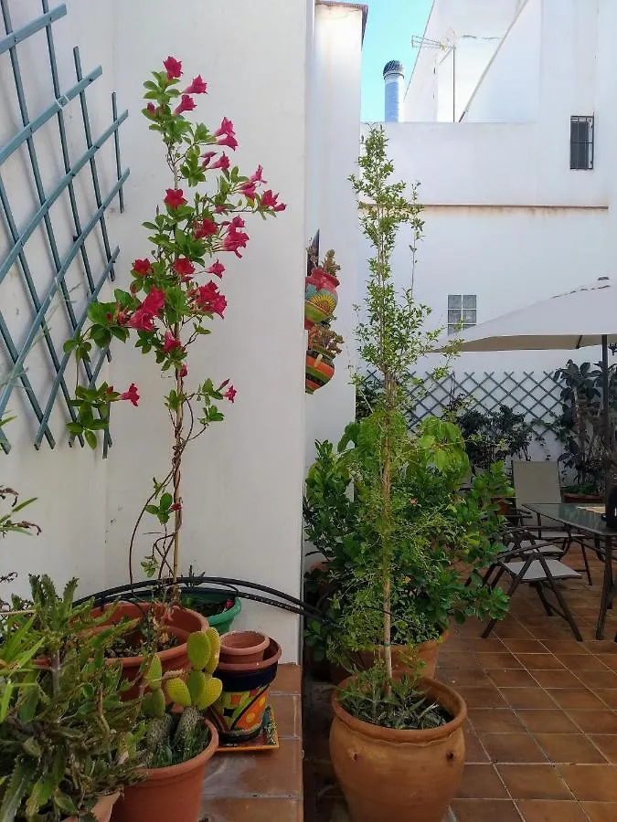 Casa Rural Con Chimenea, Barbacoa, Terraza Y Solarium Villa Illar Spain